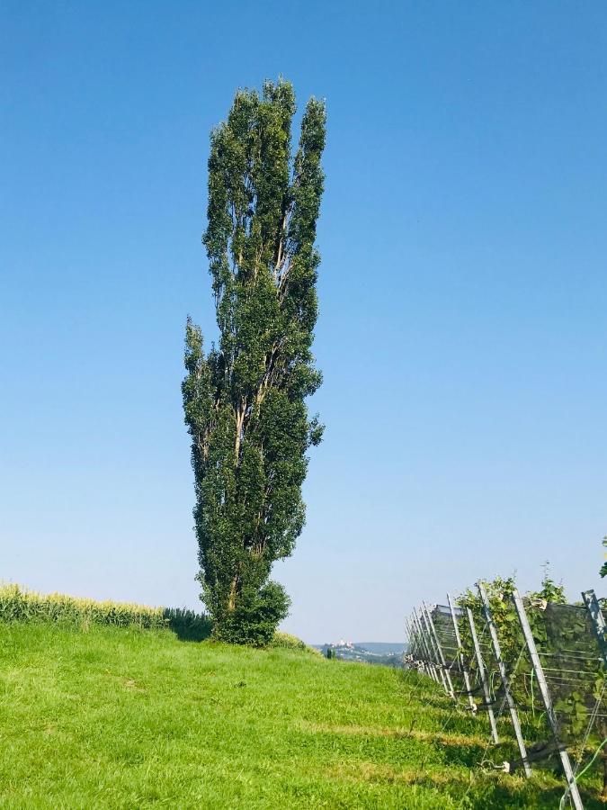 Landvilla Sinelia Premium Dietersdorf am Gnasbach Εξωτερικό φωτογραφία